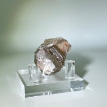 Load image into Gallery viewer, Starbrary Crystal
