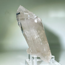 Load image into Gallery viewer, Indicolite Citrine Included Quartz Stone
