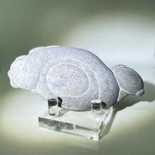 Load image into Gallery viewer, Canada Fairy Stone
