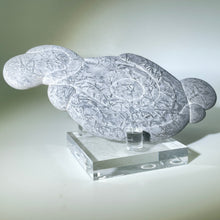 Load image into Gallery viewer, Canada Fairy Stone
