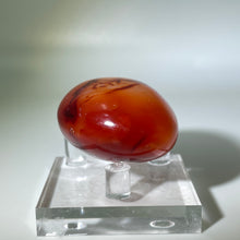 Load image into Gallery viewer, Carnelian Palm Stone
